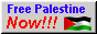 Palestine Button